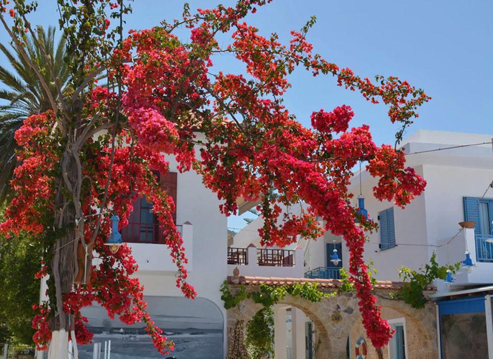 Saronis Hotel Agistri - Adults Only Скала Экстерьер фото